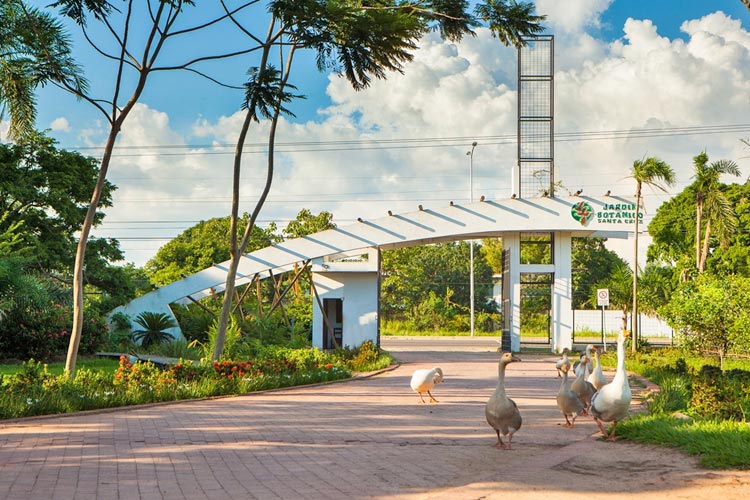 Jardín Botánico
